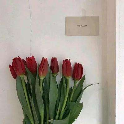 君王2变态版下载
